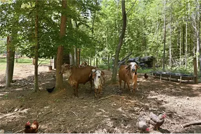6407 Vedic Drive, Whitsett, NC 27377 - Photo 39