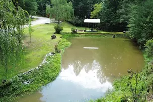 1647 Staghorn Rd, Purlear, NC 28665 - Photo 5