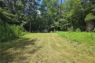 3431 US Hwy 311, Madison, NC 27025 - Photo 31
