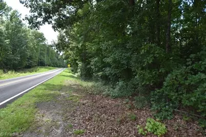 00 Garner Road, Snow Camp, NC 27349 - Photo 1