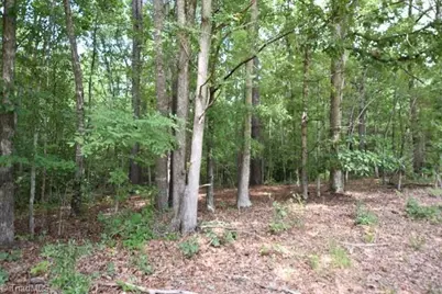 00 Garner Road, Snow Camp, NC 27349 - Photo 3
