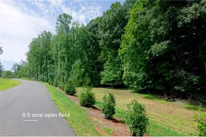 0 Labrador Lane, Winston-Salem, NC 27106 - Photo 3