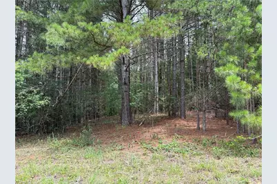 207 Cockerham Road, Elkin, NC 28621 - Photo 11