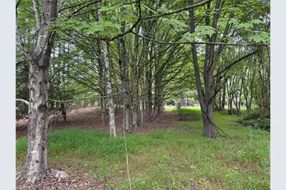 207 Cockerham Road, Elkin, NC 28621 - Photo 5