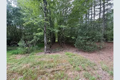 207 Cockerham Road, Elkin, NC 28621 - Photo 47