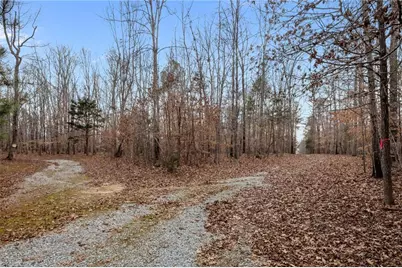 10.75 Acres Neals Store Road, Roxboro, NC 27574 - Photo 7