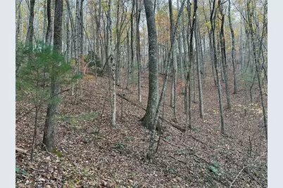 00 Balls Mill Road, North Wilkesboro, NC 28659 - Photo 17