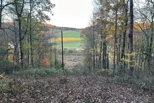00 Balls Mill Rd, North Wilkesboro, NC 28659 - Photo 1