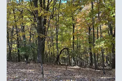 00 Balls Mill Road, North Wilkesboro, NC 28659 - Photo 3