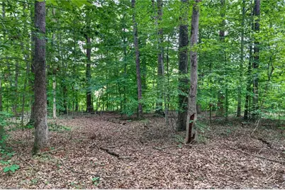 2520 Poplar Hill Court, Snow Camp, NC 27349 - Photo 25