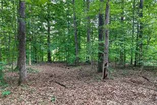 2520 Poplar Hl Ct, Snow Camp, NC 27349 - Photo 25