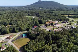153 Veterans Dr, Pilot Mountain, NC 27041 - Photo 3
