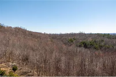 222 Hummingbird Lane, Pilot Mountain, NC 27041 - Photo 17