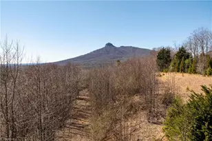 222 Hummingbird Ln, Pilot Mountain, NC 27041 - Photo 1