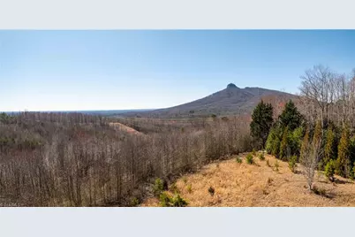 222 Hummingbird Lane, Pilot Mountain, NC 27041 - Photo 9