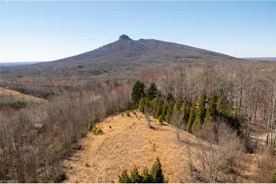 222 Hummingbird Lane, Pilot Mountain, NC 27041 - Photo 15