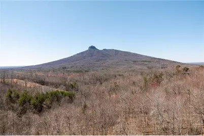 222 Hummingbird Lane, Pilot Mountain, NC 27041 - Photo 27