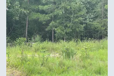 0 N Nc Highway 49, Mebane, NC 27302 - Photo 3