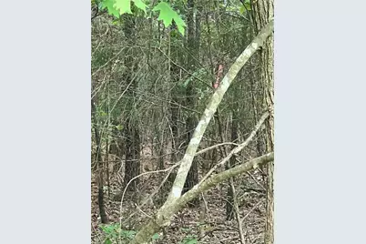 0 N Nc Highway 49, Mebane, NC 27302 - Photo 7