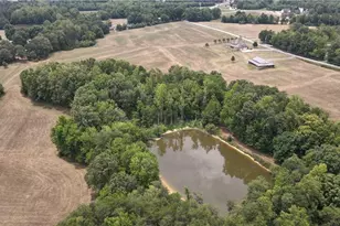 203 Bobcat Rd, Summerfield, NC 27358 - Photo 43