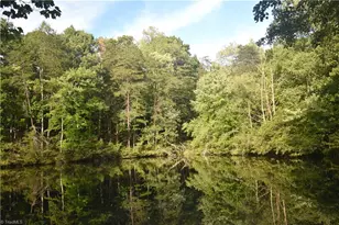 8546 Hudson James Rd, Summerfield, NC 27358 - Photo 47