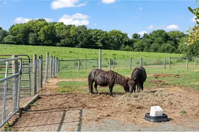 8378 Holman Mill Road, Snow Camp, NC 27349 - Photo 35