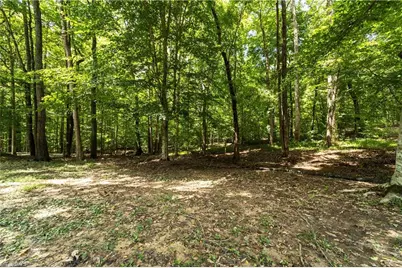 291 Magnolia Avenue, Mocksville, NC 27028 - Photo 29