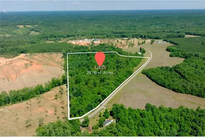 0 Tesh Road, Germanton, NC 27019 - Photo 1