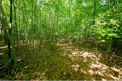 0 Tesh Road, Germanton, NC 27019 - Photo 11