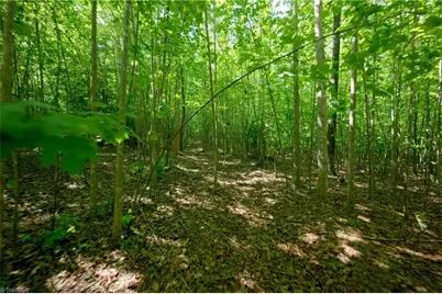 0 Tesh Road, Germanton, NC 27019 - Photo 13
