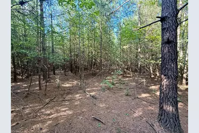 0 Piney Grove Road, Kernersville, NC 27284 - Photo 13