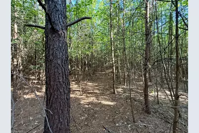 0 Piney Grove Road, Kernersville, NC 27284 - Photo 23