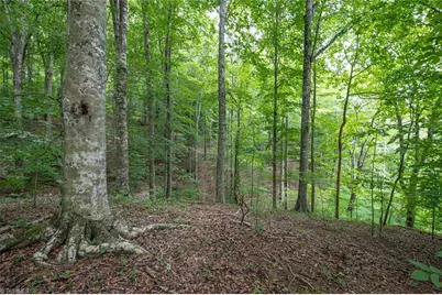 8942 Spearman Road, Reidsville, NC 27320 - Photo 5