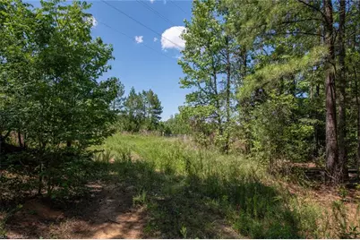 8942 Spearman Road, Reidsville, NC 27320 - Photo 43