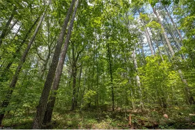 8942 Spearman Road, Reidsville, NC 27320 - Photo 21