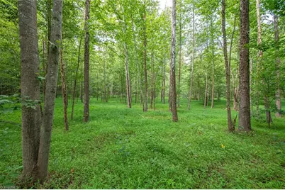 8942 Spearman Road, Reidsville, NC 27320 - Photo 29
