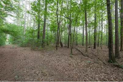 8942 Spearman Road, Reidsville, NC 27320 - Photo 39