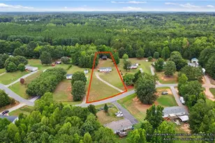 340 Gem Stone Loop, Summerfield, NC 27358 - Photo 3