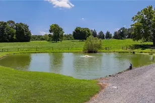 6851 Brantley Gordon Rd, Denton, NC 27239 - Photo 39