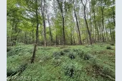 00 Rock Hill Church Road, Ararat, NC 27007 - Photo 9