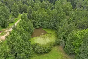 1070 Kindle Crk Dr, Ferguson, NC 28624 - Photo 47