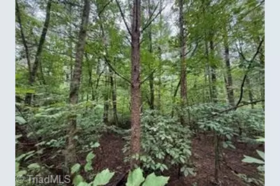 00 Rock Hill Church Road, Ararat, NC 27007 - Photo 13