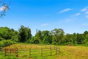 985 Traphill Rd, Hays, NC 28635 - Photo 5
