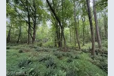 00 Rock Hill Church Road, Ararat, NC 27007 - Photo 13