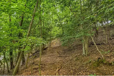 Tbd Willowbrook Lane, Wilkesboro, NC 28659 - Photo 17