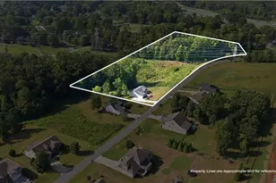 5629 Crooked Oak Dr, Summerfield, NC 27358 - Photo 29