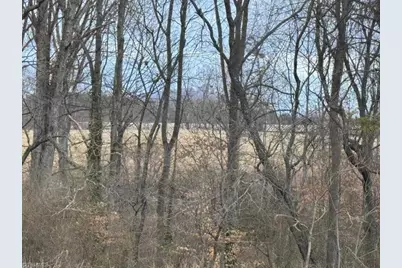 10 Acres Hogan Creek Road, Siloam, NC 27047 - Photo 15