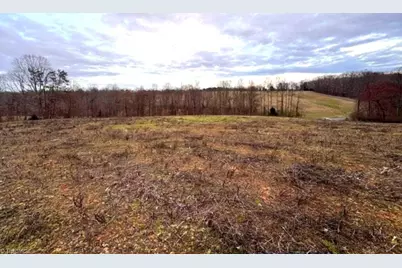 10 Acres Hogan Creek Road, Siloam, NC 27047 - Photo 7