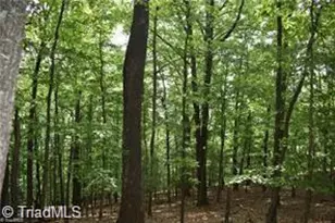4 Greenstreet Dr, Traphill, NC 28685 - Photo 1