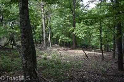 71 Grandview Drive, Traphill, NC 28685 - Photo 1